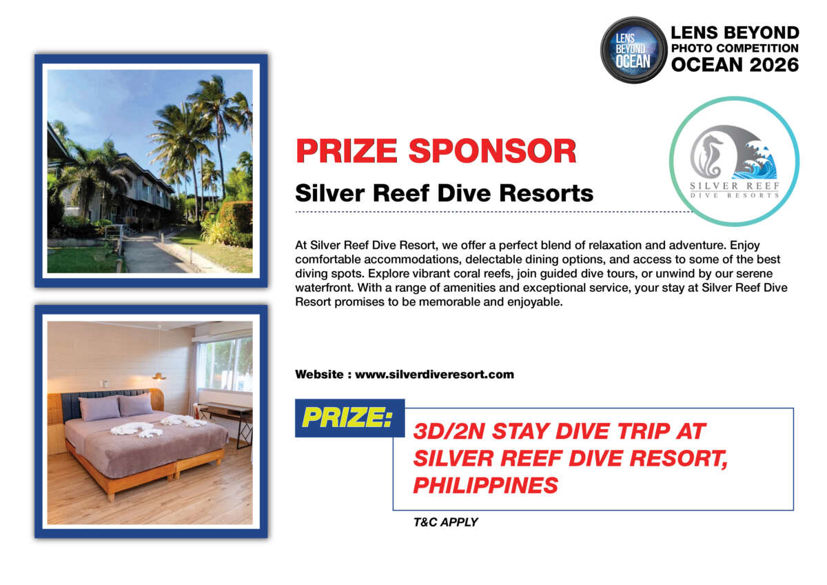LBO SPONSOR - silver